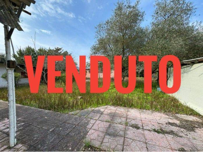 terreno agricolo in vendita a San Felice Circeo