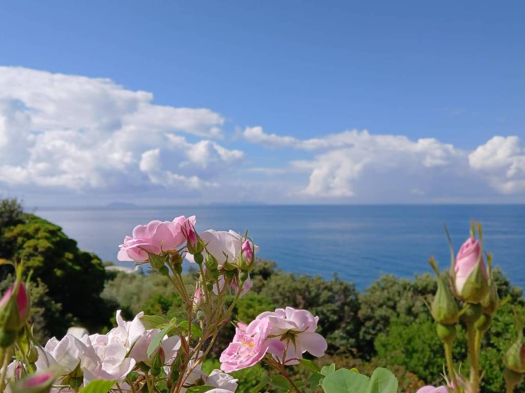 casa indipendente in vendita a San Felice Circeo