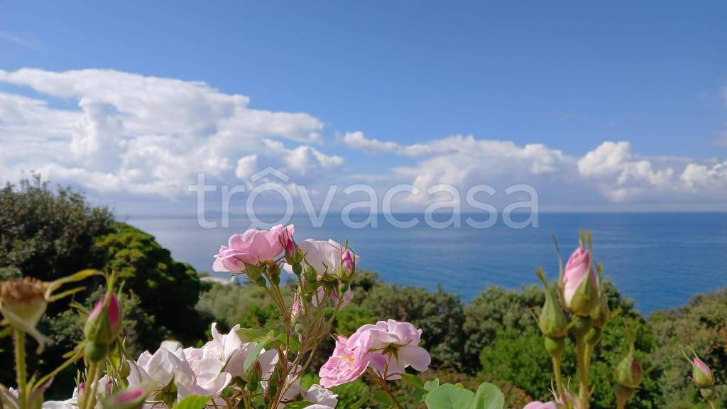 casa indipendente in vendita a San Felice Circeo
