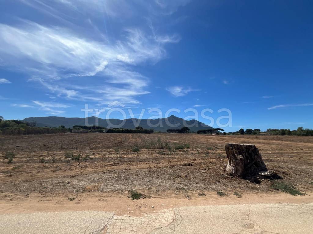 terreno agricolo in vendita a San Felice Circeo