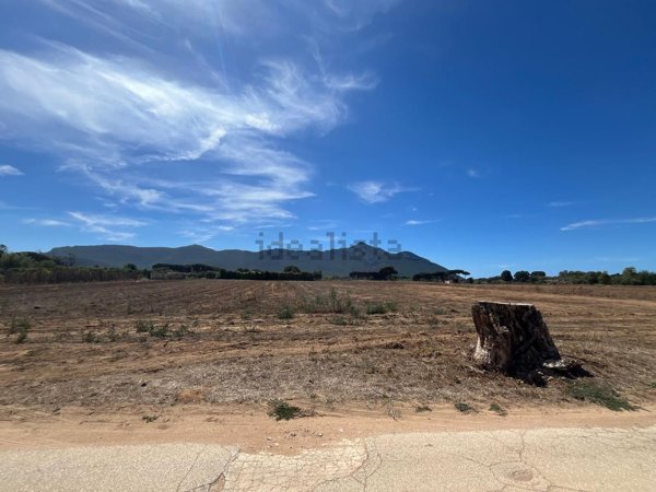 terreno agricolo in vendita a San Felice Circeo