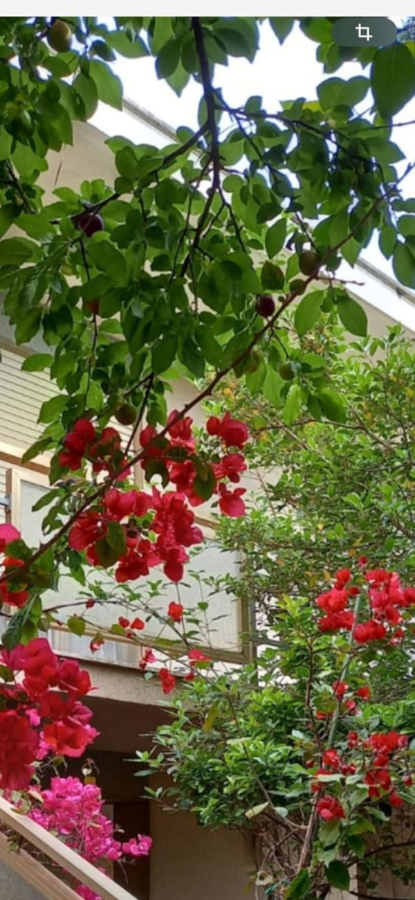 casa indipendente in vendita a San Felice Circeo