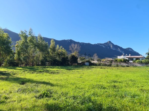 terreno agricolo in vendita a San Felice Circeo in zona Campo La Mola