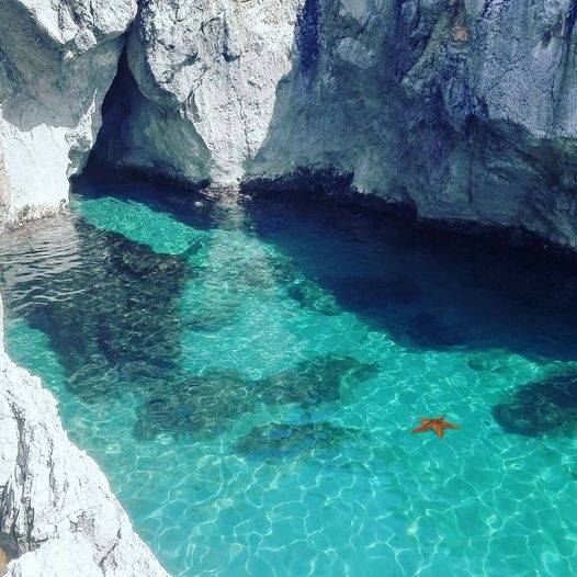 negozio in vendita a San Felice Circeo