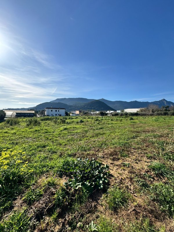 terreno agricolo in vendita a San Felice Circeo