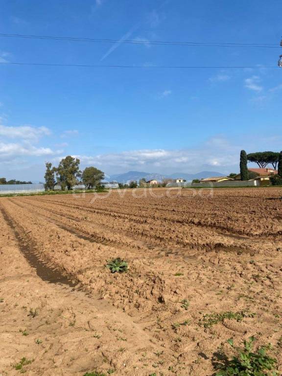 terreno agricolo in vendita a San Felice Circeo