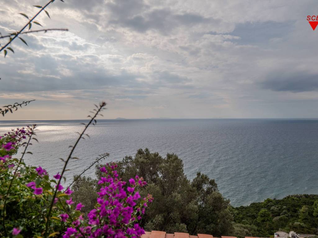 esavano in vendita a San Felice Circeo in zona Punta Rossa