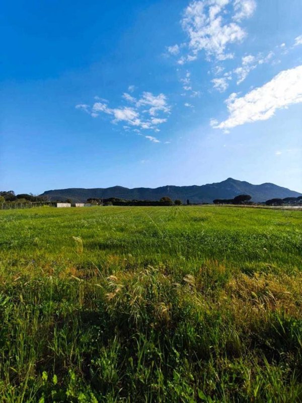 terreno agricolo in vendita a San Felice Circeo