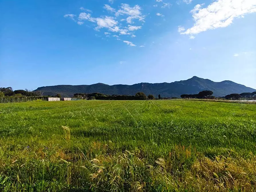 terreno agricolo in vendita a San Felice Circeo in zona Torre Olevola