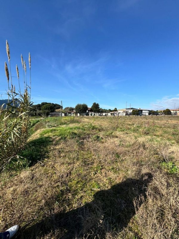 terreno agricolo in vendita a San Felice Circeo in zona Torre Olevola
