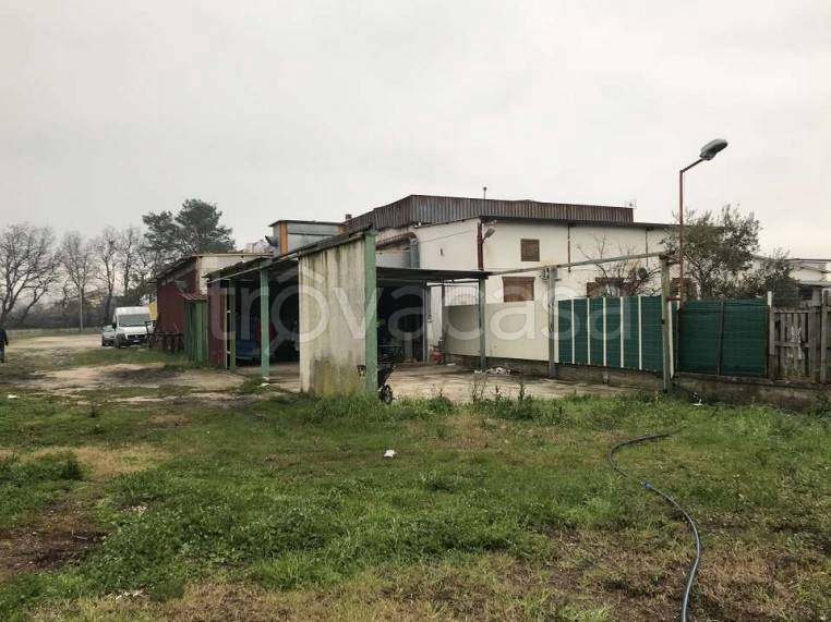 negozio in vendita a Santi Cosma e Damiano