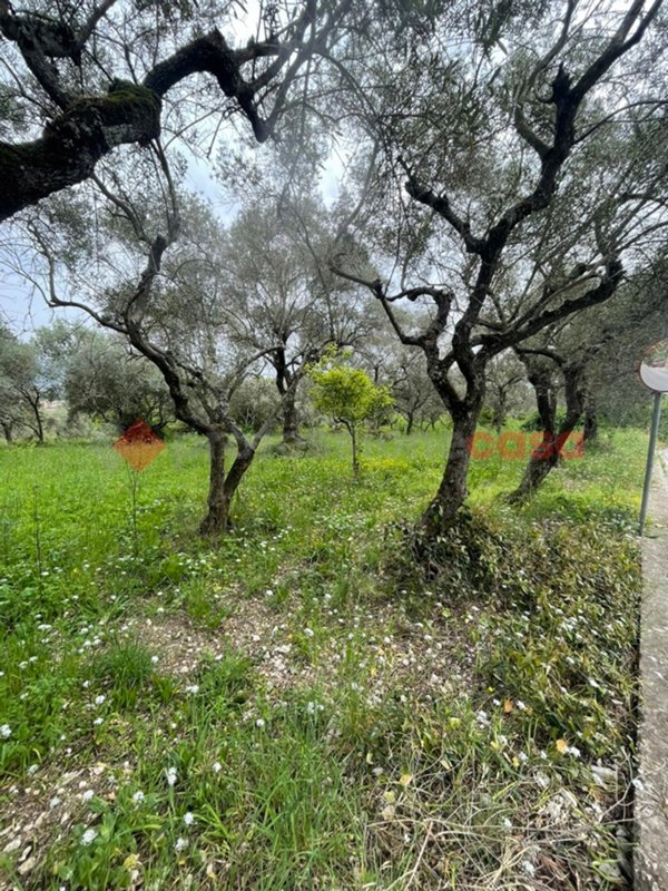 terreno agricolo in vendita a Santi Cosma e Damiano