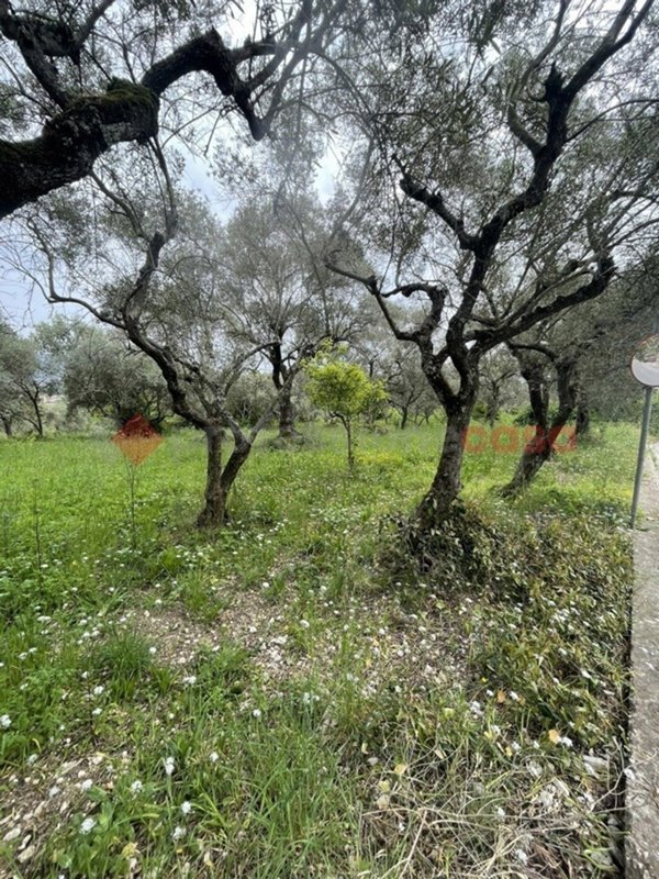 terreno agricolo in vendita a Santi Cosma e Damiano