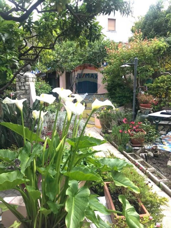 casa indipendente in vendita a Santi Cosma e Damiano