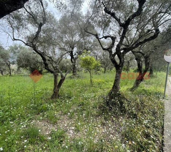 terreno agricolo in vendita a Santi Cosma e Damiano