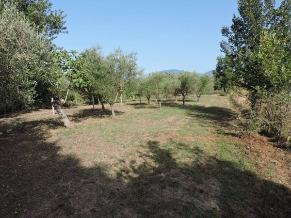 terreno agricolo in vendita a Santi Cosma e Damiano