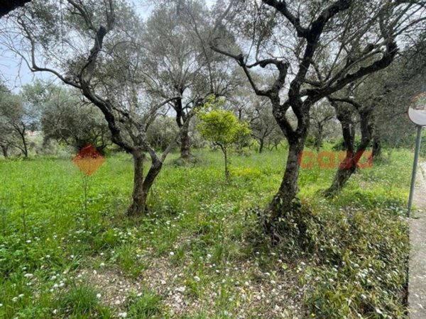 terreno agricolo in vendita a Santi Cosma e Damiano