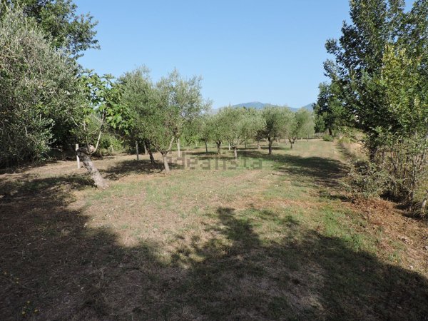 terreno agricolo in vendita a Santi Cosma e Damiano