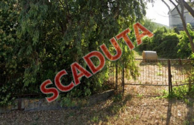 terreno agricolo in vendita a Santi Cosma e Damiano