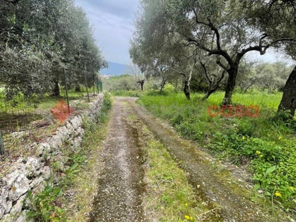 terreno agricolo in vendita a Santi Cosma e Damiano