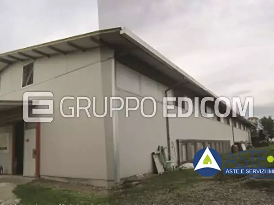 terreno agricolo in vendita a Santi Cosma e Damiano