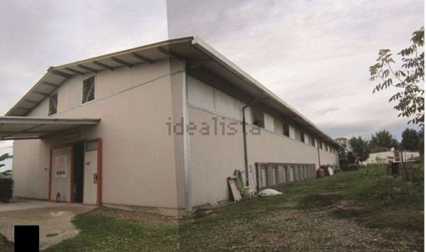 terreno agricolo in vendita a Santi Cosma e Damiano