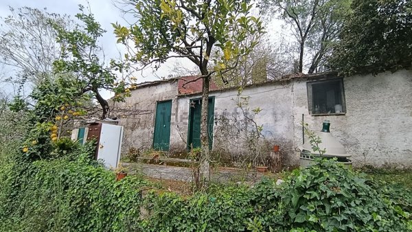 casa indipendente in vendita a Santi Cosma e Damiano