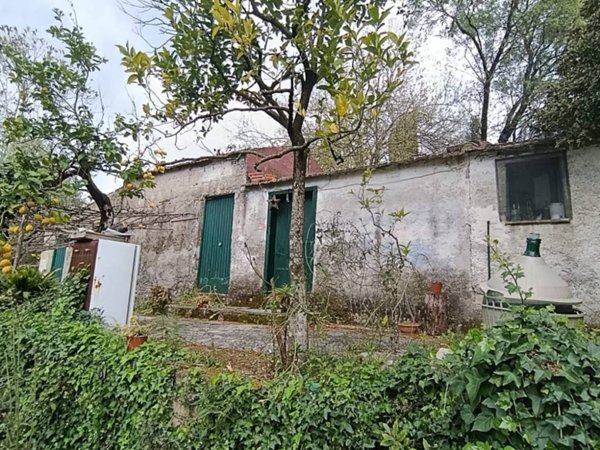 casa indipendente in vendita a Santi Cosma e Damiano