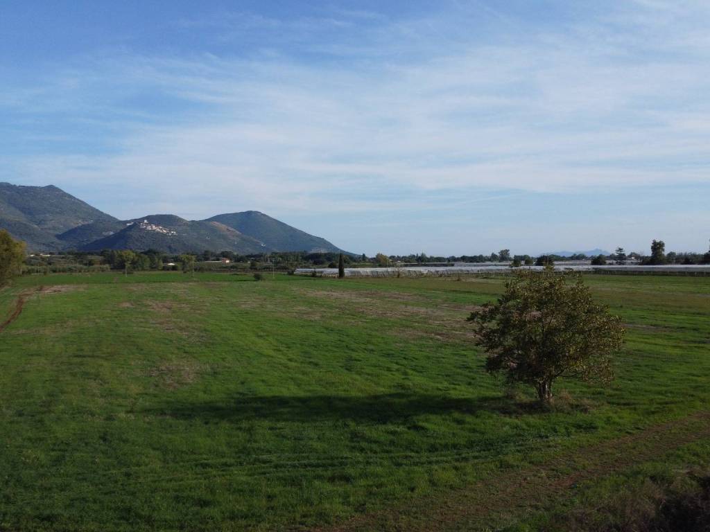 terreno agricolo in vendita a Sermoneta in zona Doganella