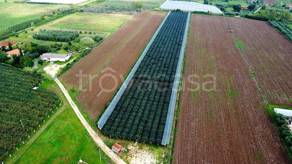 terreno agricolo in vendita a Sermoneta in zona Doganella