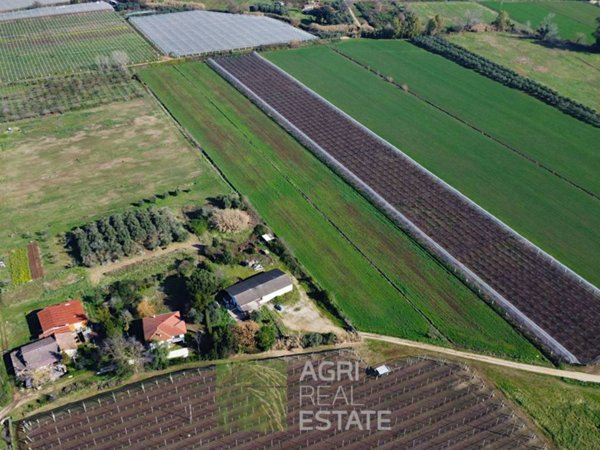 terreno agricolo in vendita a Sermoneta in zona Carrara