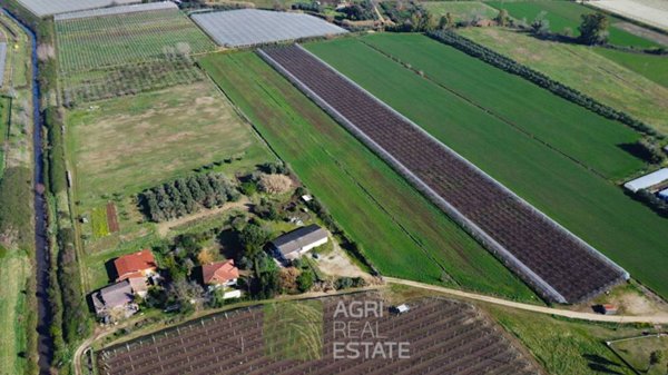 terreno agricolo in vendita a Sermoneta