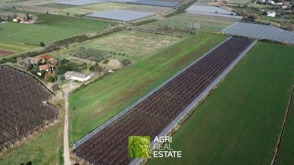 terreno agricolo in vendita a Sermoneta