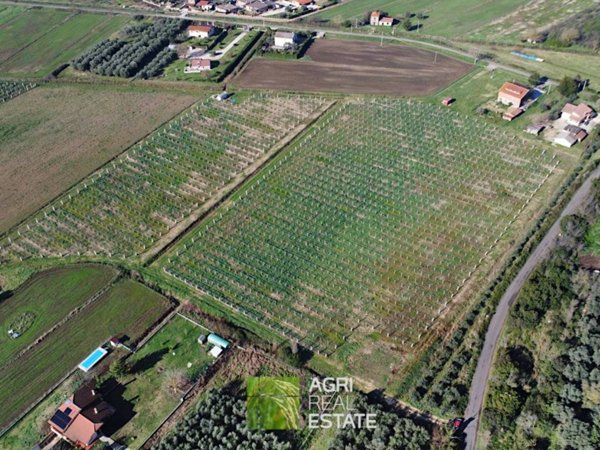 terreno agricolo in vendita a Sermoneta