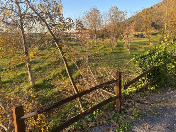 terreno agricolo in vendita a Sermoneta