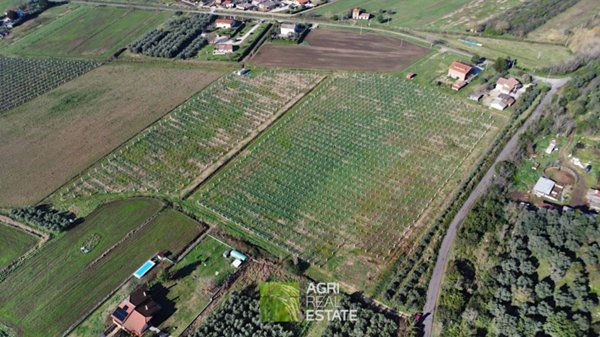 terreno agricolo in vendita a Sermoneta