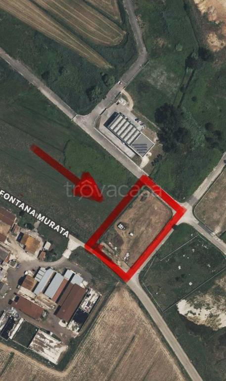 terreno agricolo in vendita a Sermoneta