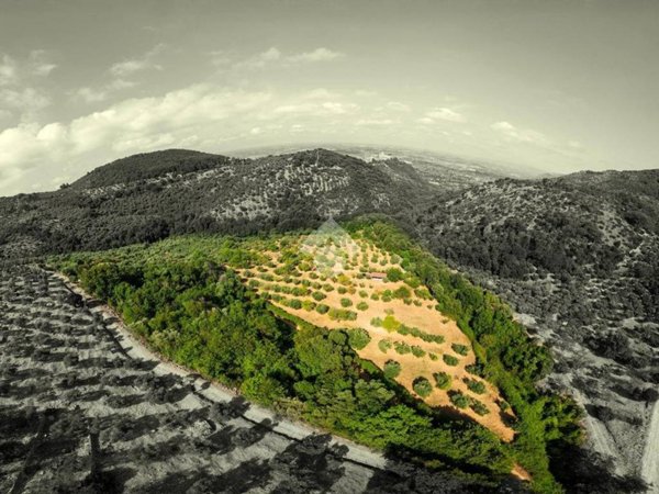 terreno agricolo in vendita a Sermoneta