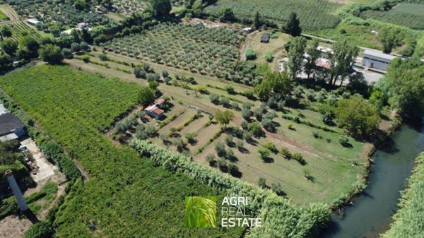 terreno agricolo in vendita a Sermoneta