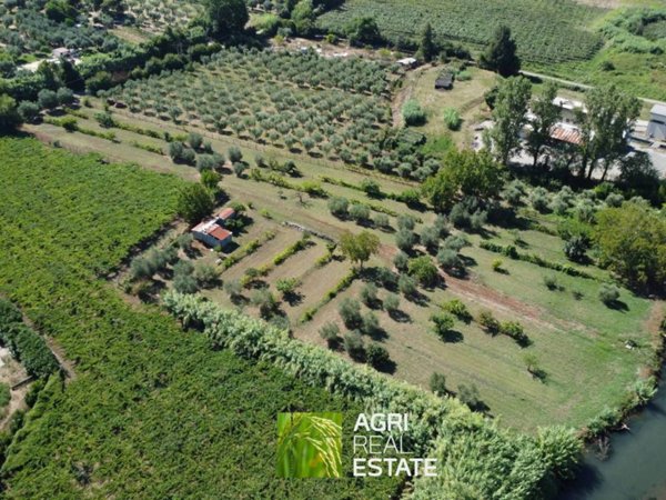 terreno agricolo in vendita a Sermoneta