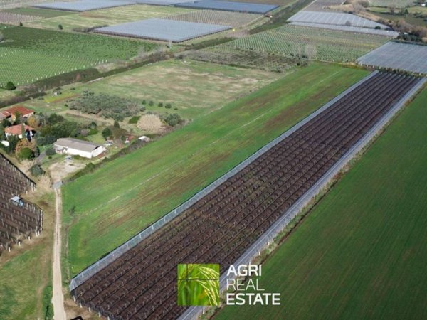 terreno agricolo in vendita a Sermoneta