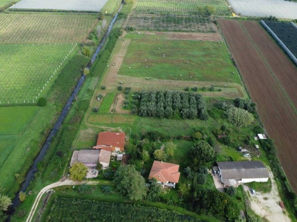 terreno agricolo in vendita a Sermoneta