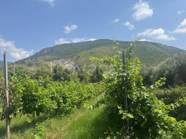 terreno agricolo in vendita a Sermoneta