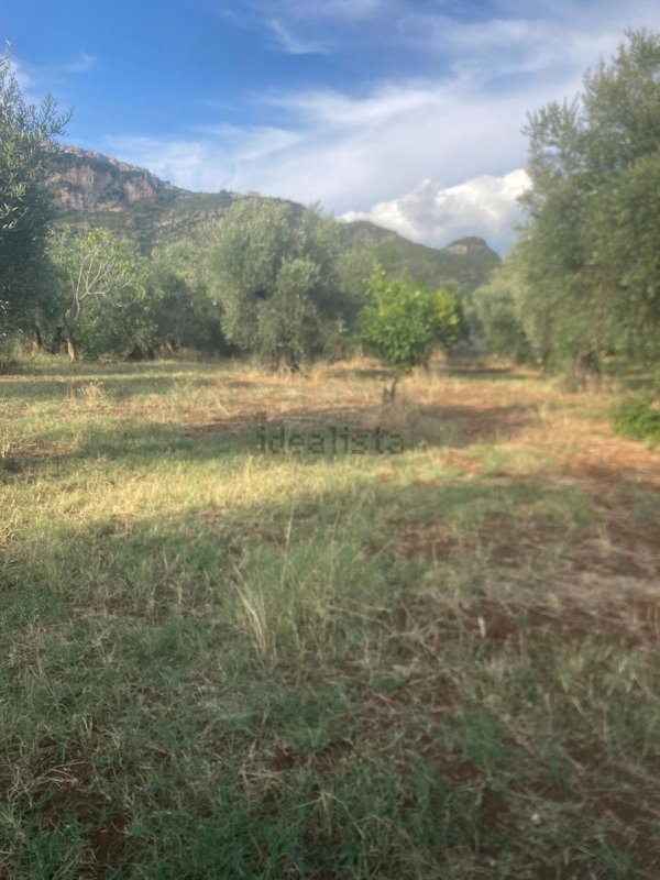 terreno agricolo in vendita a Sermoneta