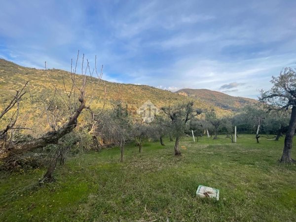 terreno agricolo in vendita a Sermoneta