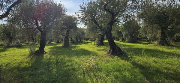 casa indipendente in vendita a Sermoneta