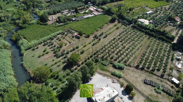 terreno agricolo in vendita a Sermoneta