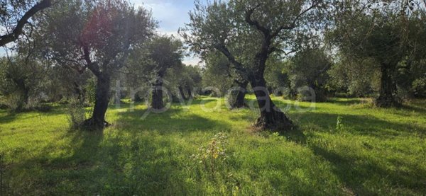 casa indipendente in vendita a Sermoneta
