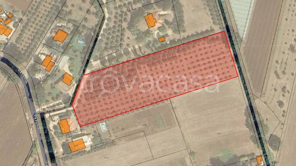 terreno agricolo in vendita a Sermoneta