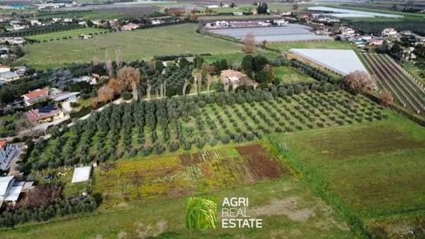terreno agricolo in vendita a Sermoneta